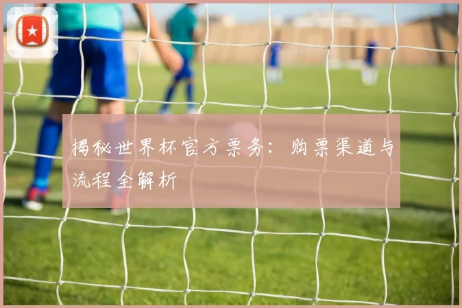 揭秘世界杯官方票务：购票渠道与流程全解析