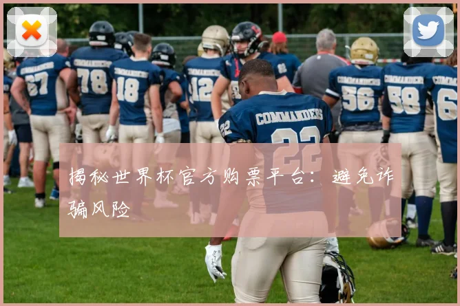 揭秘世界杯官方购票平台：避免诈骗风险