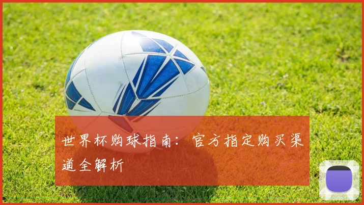 世界杯购球指南：官方指定购买渠道全解析