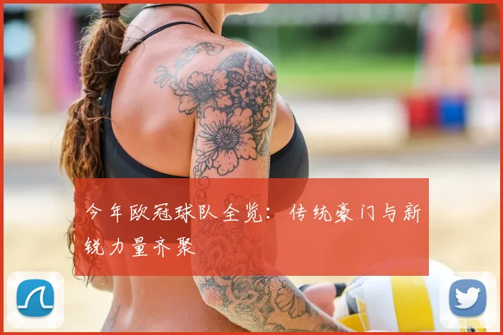 今年欧冠球队全览：传统豪门与新锐力量齐聚