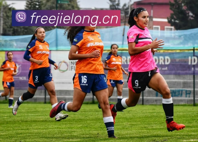 hth官方网页版平台生态图